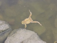 /album/fotogalerie-putovani-za-kameny/a029-jpg1/