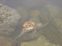 /album/fotogalerie-putovani-za-kameny/a031-jpg1/