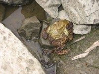 /album/fotogalerie-putovani-za-kameny/a035-jpg1/