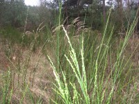 /album/fotogalerie-putovani-za-kameny/a039-jpg1/