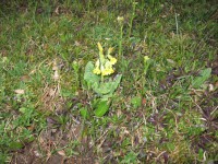 /album/fotogalerie-putovani-za-kameny/a043-jpg1/